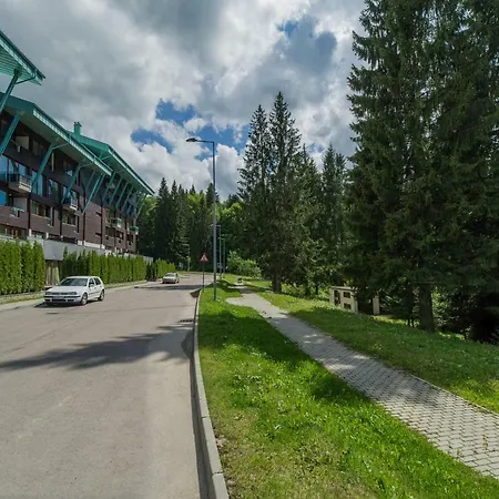 Family In Silver Mountain Apartment Poiana Brasov